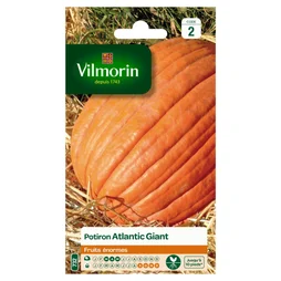 Graines de potager potiron atlantic giant VILMORIN 3 g
