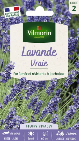 Graine de lavande vraie, VILMORIN, mauve