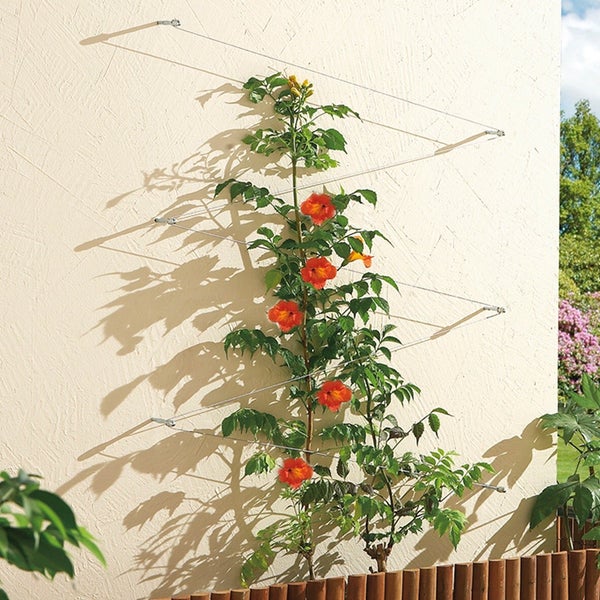 Kit palissage plantes grimpantes NORTENE