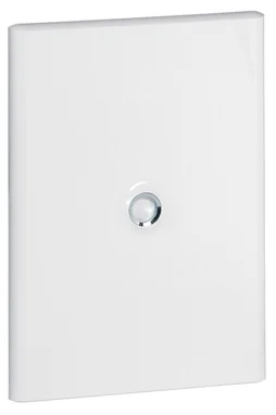 Porte pour tableau électrique LEGRAND H.500 x l.250 mm