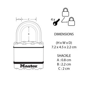 Lot de 2 cadenas à clé en  acier laminé, MASTER LOCK, l.45 mm