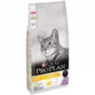Croquette chat PRO PLAN light adult optilight riche dinde 10kg