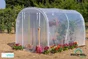 Serre-tunnel pied droit, RICHEL, l.200 x P.300 x H.185 cm