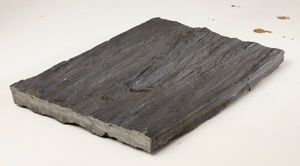 Pas japonais Ardoise en pierre naturelle gris ardoise, L.40 x l.30 x Ep.3.5 cm