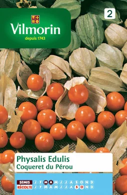 Sachet de graines Physalis edulis VILMORIN 0.6 g