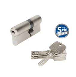 Cylindre de serrure BRICARD Astral debrayable L.30 + 40 mm
