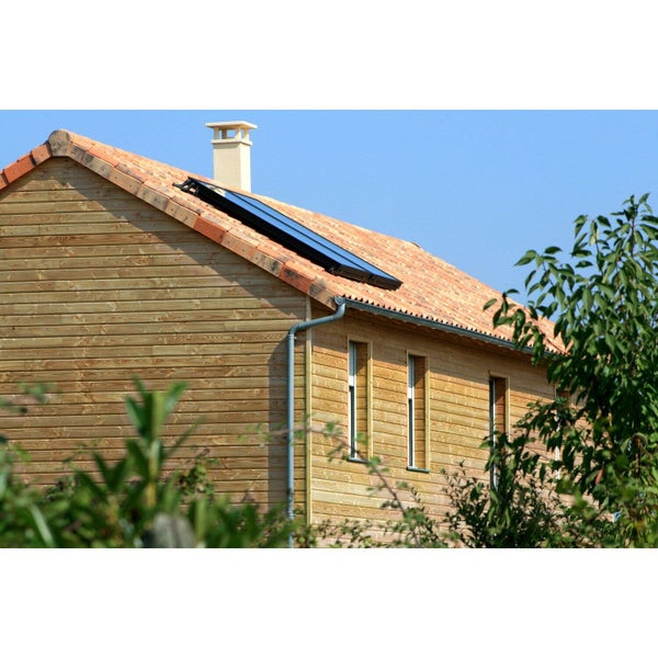 Clin pour bardage pin douglas vert MONNET SEVE Montana 2.5 m