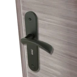 Lot de 2 poignées de porte Azur entrée de clé CHRISLIGNE, aluminium entraxe 165 mm