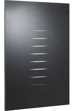 Plaque de protection murale noir sable EQUATION Zebra, l.80 cm x H.120 cm