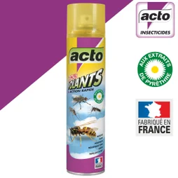 Aérosol insecticide aérosol insectes ACTO, 400 ml
