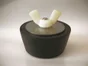 "Bouchon hivernage 2"" pour piscine"