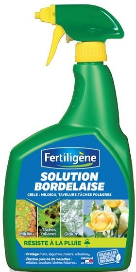 Bouillie bordelaise FERTILIGENE , pour potager et verger, 800 ml