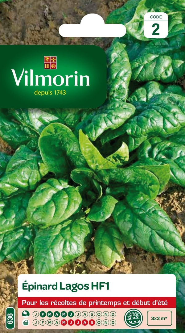 Graines de potager épinard VILMORIN 15 g