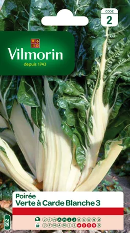 Graine potagère de poiree verte à carde blanche, VILMORIN