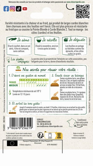Graine potagère de poiree verte à carde blanche, VILMORIN