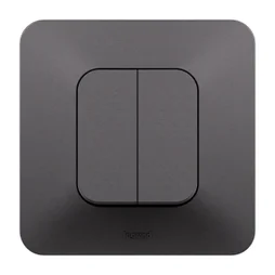 Double interrupteur va-et-vient, LEGRAND Neptune, noir