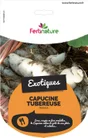 Capucine Tubereuse Chromo 3 Plants Capucine Tubereuse 1000 G