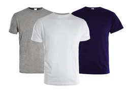 Lot de 3 Tee-shirts manches courtes KAPRIOL, taille XL