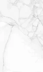 Dalle murale PVC calacatta DUMAWALL, L. 65 x l. 37.5 cm, Ep. 5 mm