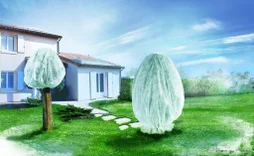 Voile d'hivernage NORTENE  Hivertex blanc 45G/M2,  2X5M
