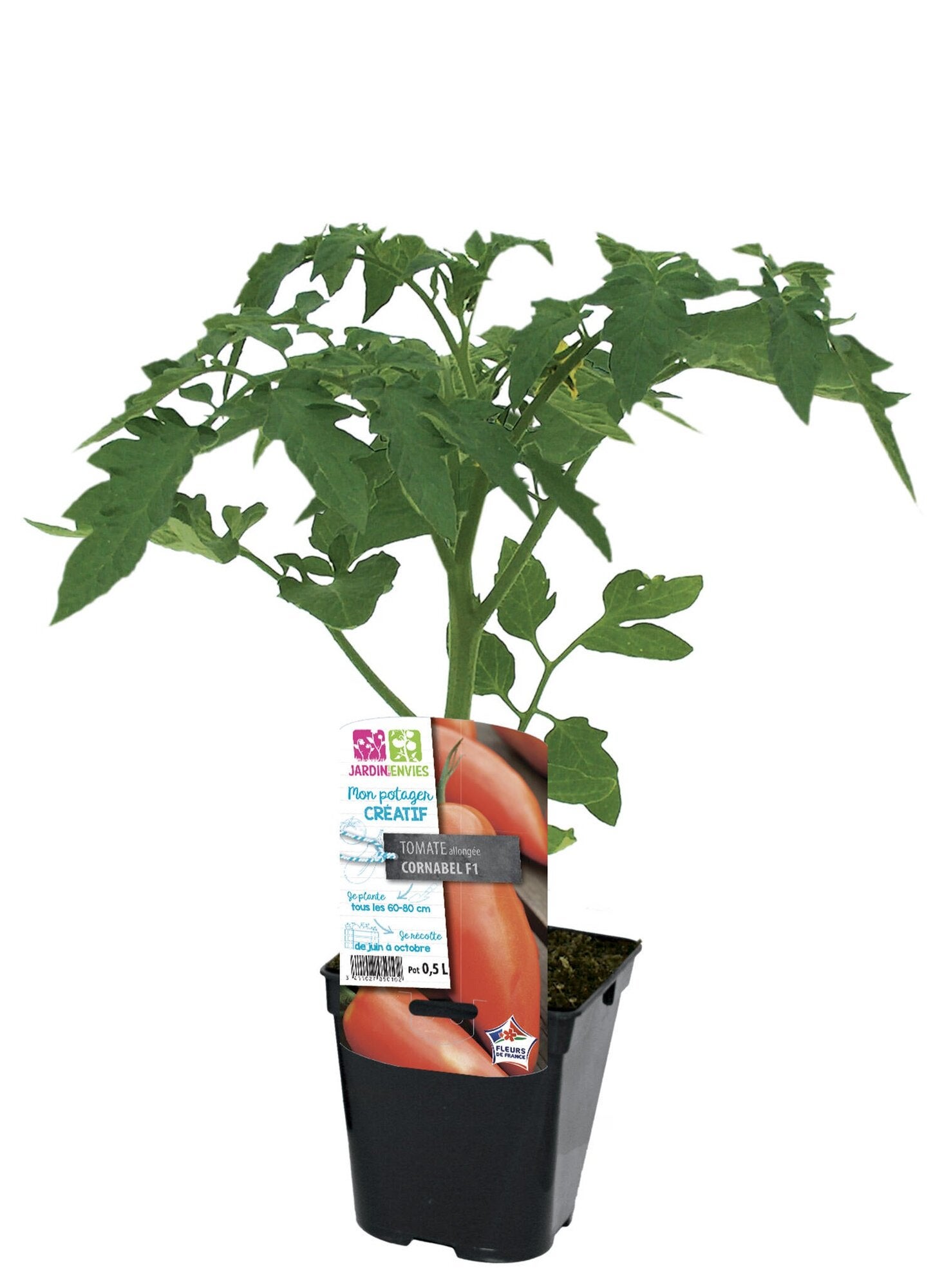 Tomate allongee cornabel p0,5l