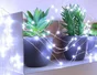 Guirlande micro led 15m blanc pur  BLACHERE ILLUMINATION