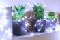 Guirlande micro led 15m blanc pur  BLACHERE ILLUMINATION