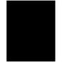 Plaque de protection sol noire LE MARQUIER Rectangle, l.80 cm x H.100 cm