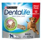 Dentalife maxi grand chien 426 g