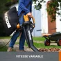 Aspirateur souffleur broyeur electrique WORX Wg505e, 3000 W