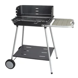 Barbecue au charbon de bois SOMAGIC Florence, gris
