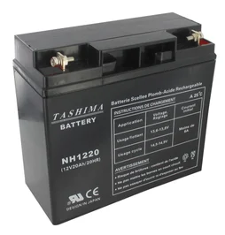 Batterie gel/agm 100% étanche pour tondeuses autoportées 12V, 20A