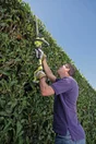 Taille-haie sur perche sans fil, RYOBI ONE+ OHT1850X, 18V, L.50 cm, sans batterie