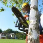Tronçonneuse sans fil brushless RYOBI One+ RCS18X3050F 18V, 1x5Ah, 30 cm