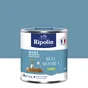 Peinture bleu mooera mur, boiserie, radiateur RIPOLIN satine 0.5 l