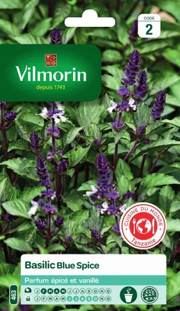 Graine potager Basilic blue spice VILMORIN