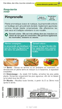 Graine potager Pimprenelle VILMORIN