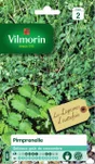 Graine potager Pimprenelle VILMORIN