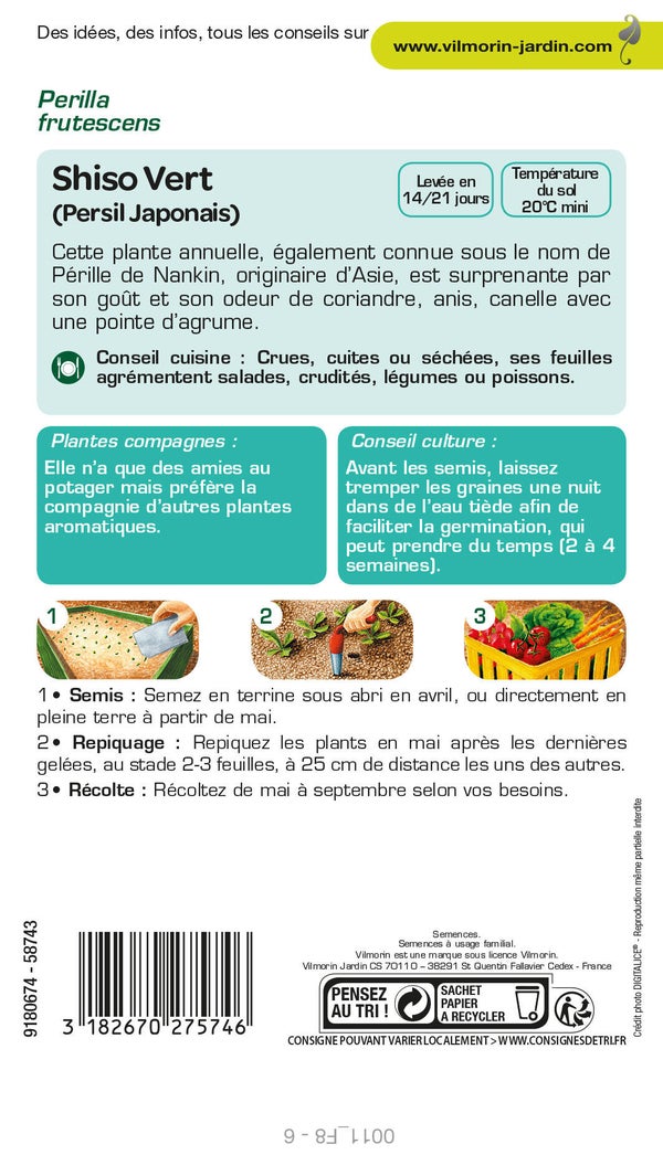 Graines de potager Shiso vert VILMORIN 1 g