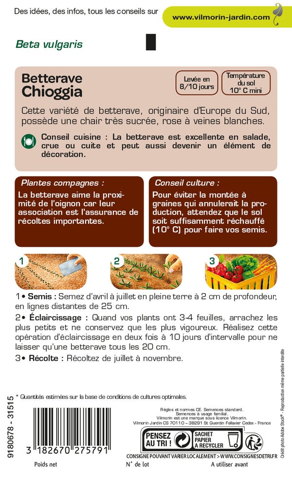 Graines de potager betterave chioggia VILMORIN 6 g
