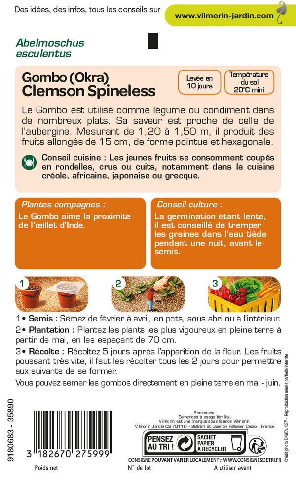 Graines de potager Gombo clemson spineless VILMORIN 15 g