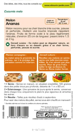 Graines de potager melon ananas d'Amérique VILMORIN 3 g