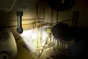 Lampe torche piles aimantée tête pivotante 300 lm 30 mètres noire ENERGIZER