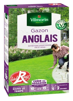 Gazon Anglais, VILMORIN, 250 g 10 m² ou 15 m²