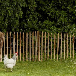 Ganivelle chataigner, Hauteur 1.20 x largeur 5 m