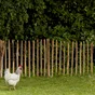 Ganivelle chataigner, Hauteur 1.20 x largeur 5 m