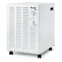Deshumidificateur d'air WOOD'S sw22f, 13,5 L/jour