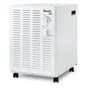 Deshumidificateur d'air WOOD'S sw38fw, 19 L/jour