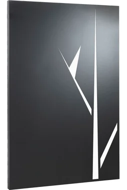 Plaque de protection murale noir sable EQUATION Nature 1, l.80 cm x H.120 cm