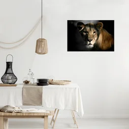 Toile imprimée Lionne & Ombre, CEANOTHE, l.97 x H.65 cm marron, blanc et noir